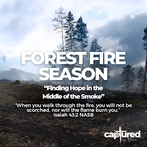 FOREST FIRE SEASON